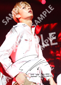 (Size L) - SEVENTEEN Shining Diamonds in Japan Photo (Jun)