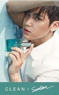 Mingyu Clean Photocard