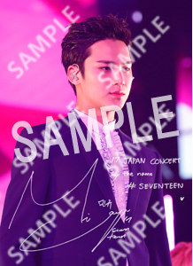 17 JAPAN CONCERT SEVENTEEN (MINGYU - L)