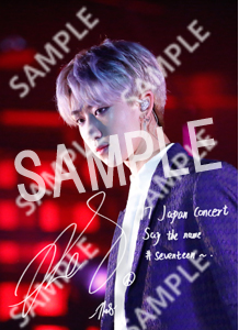 17 JAPAN CONCERT SEVENTEEN (THE8 - 2L)