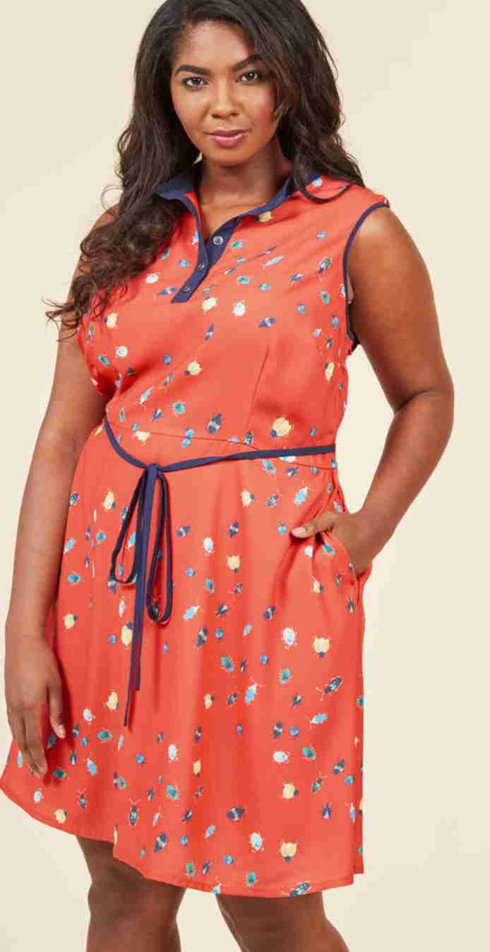 Field Questions A-Line Dress