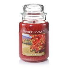 Large Classic Jar Candles - Nature's Paintbrush