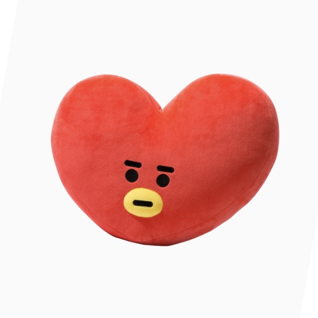 Tata Face Cushion (42cm)