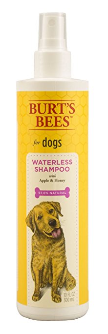 Waterless Shampoo with Apple & Honey for Dogs, 10-oz