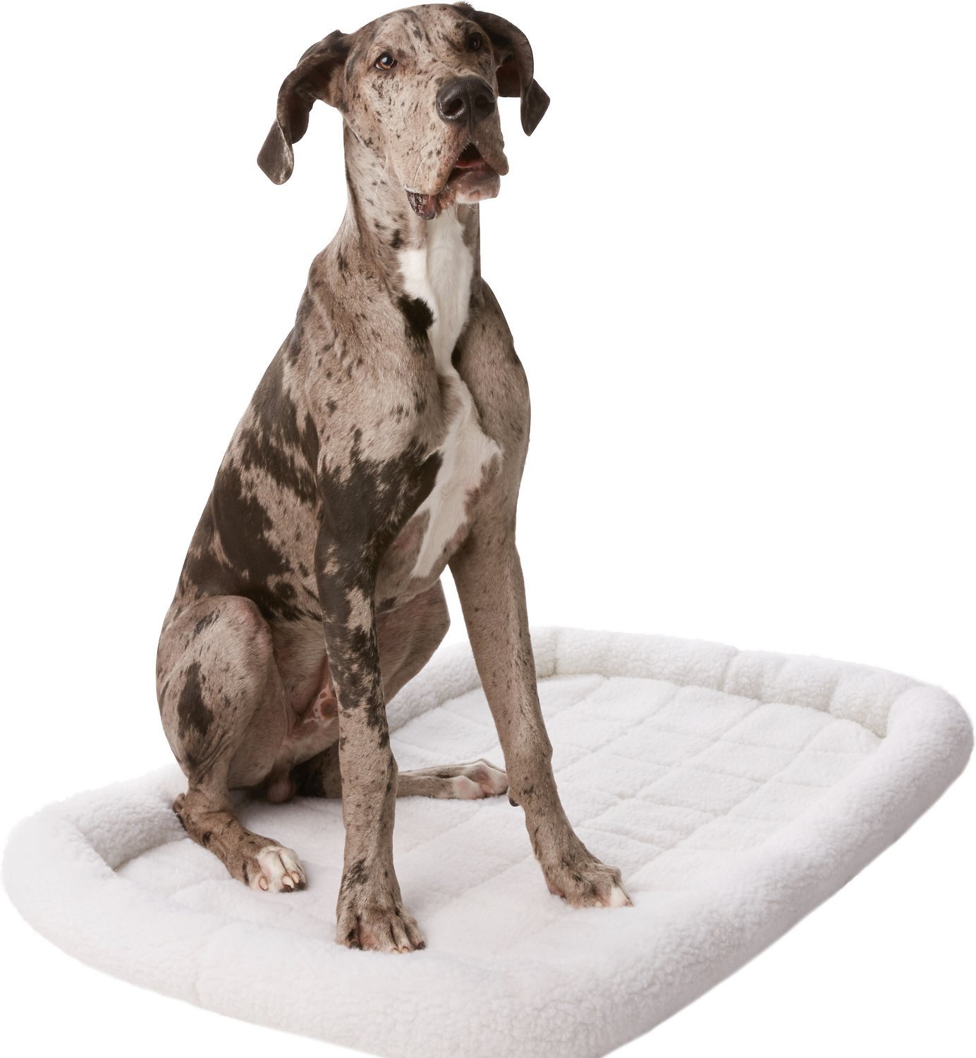 Quilted Fleece Pet Bed & Crate Mat, Ivory