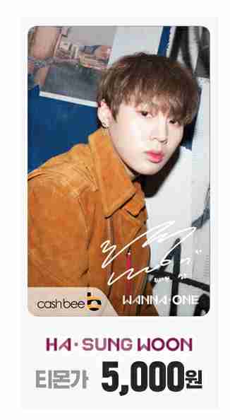 Sungwoon Cashbee T-Money Card