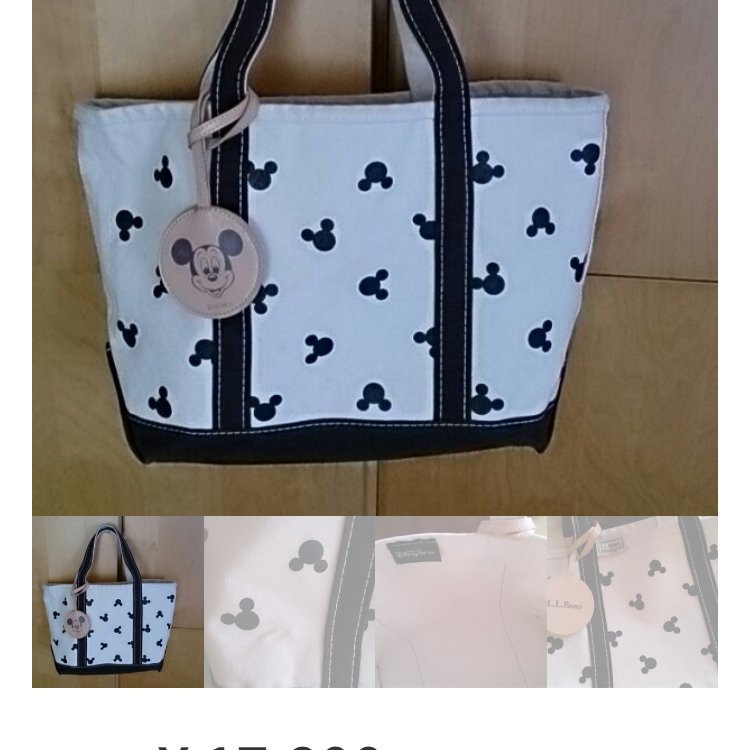 LL Bean tote and Disney collaboration (For Hiro shopper)