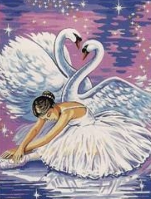 45x60 cm Baskili Goblen Swan Lake