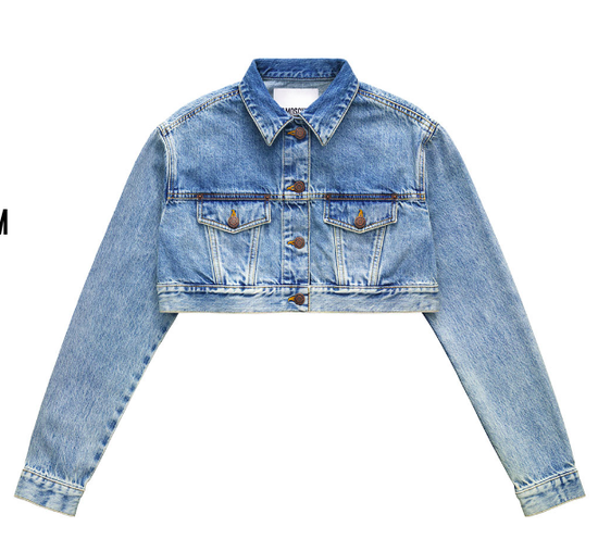 cropped sparkly denim jacket