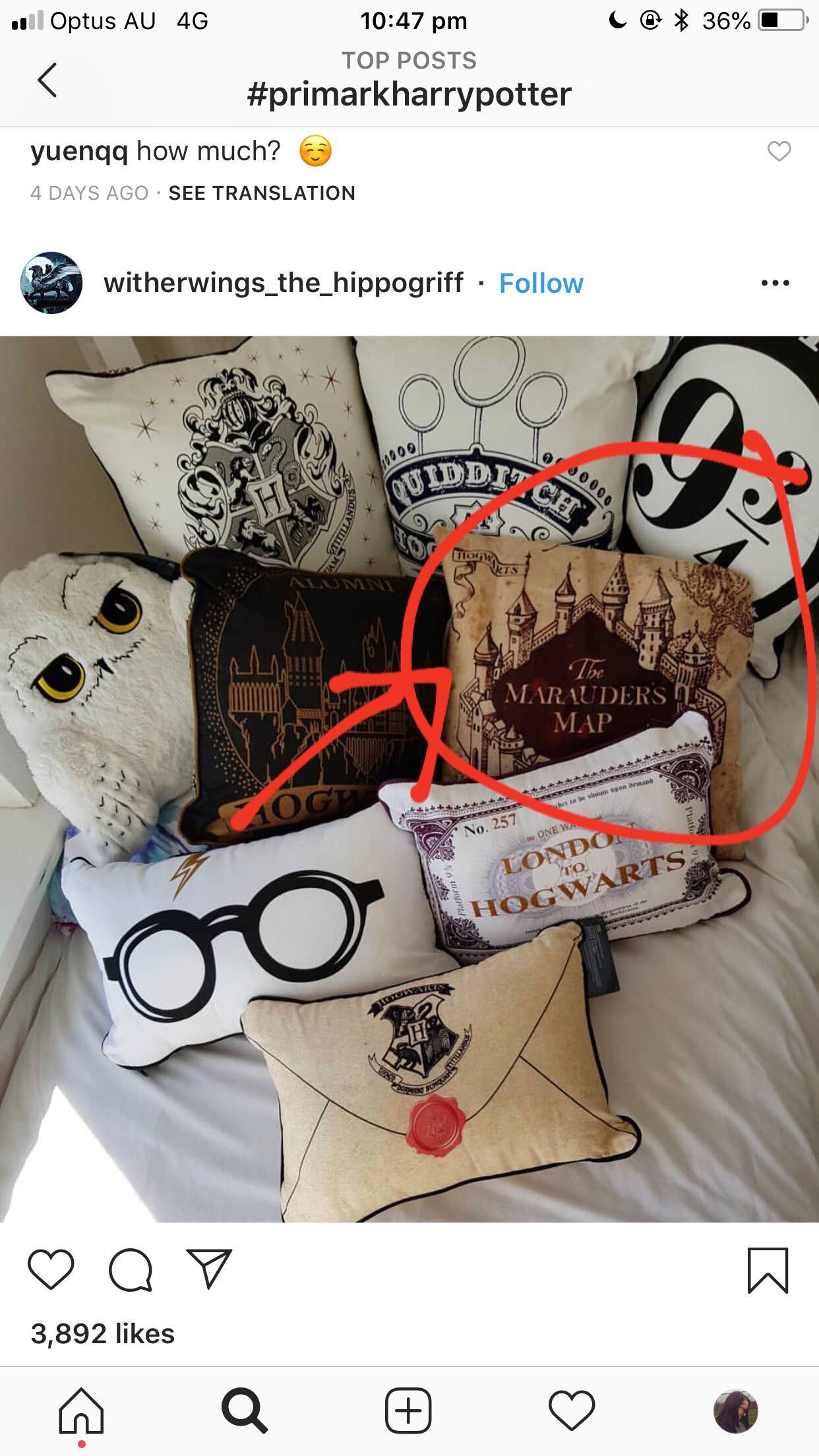 Marauder's Map Pillow