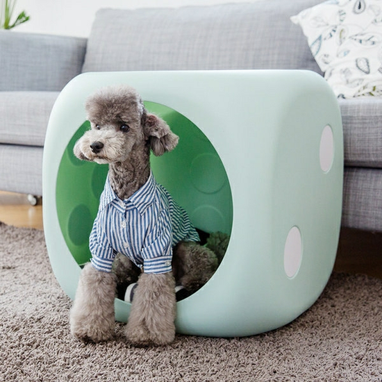 Dice Dog house Pastel Mint