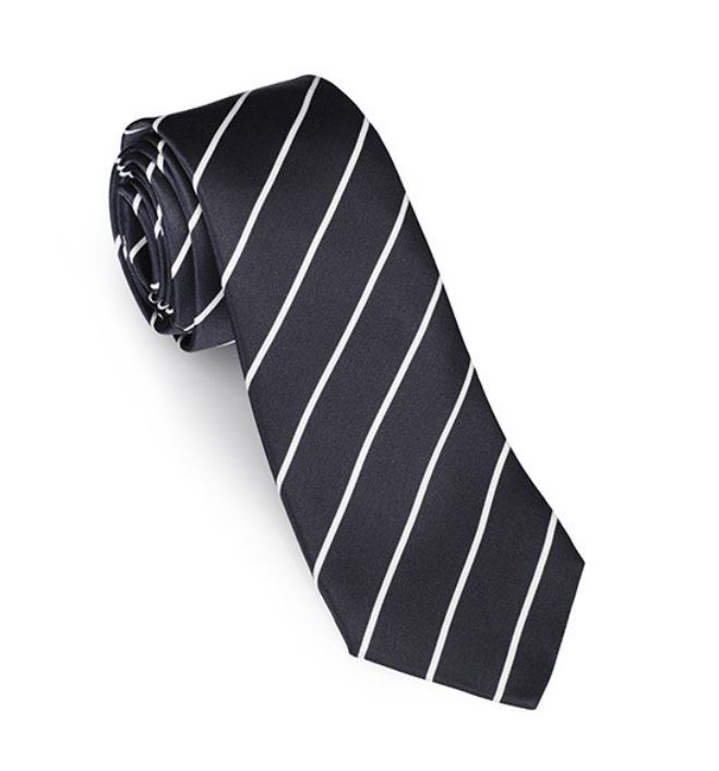 NAVY STRIPE TIE