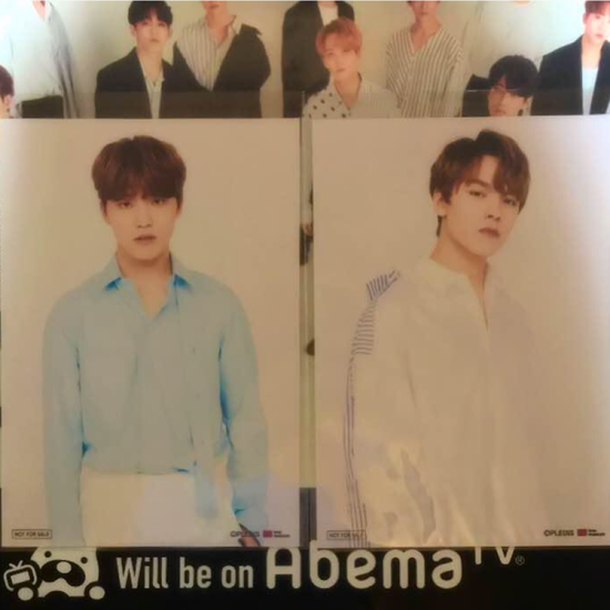 Dino & Vernon 2018 Museum Bromide