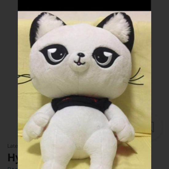 Pandakat plush