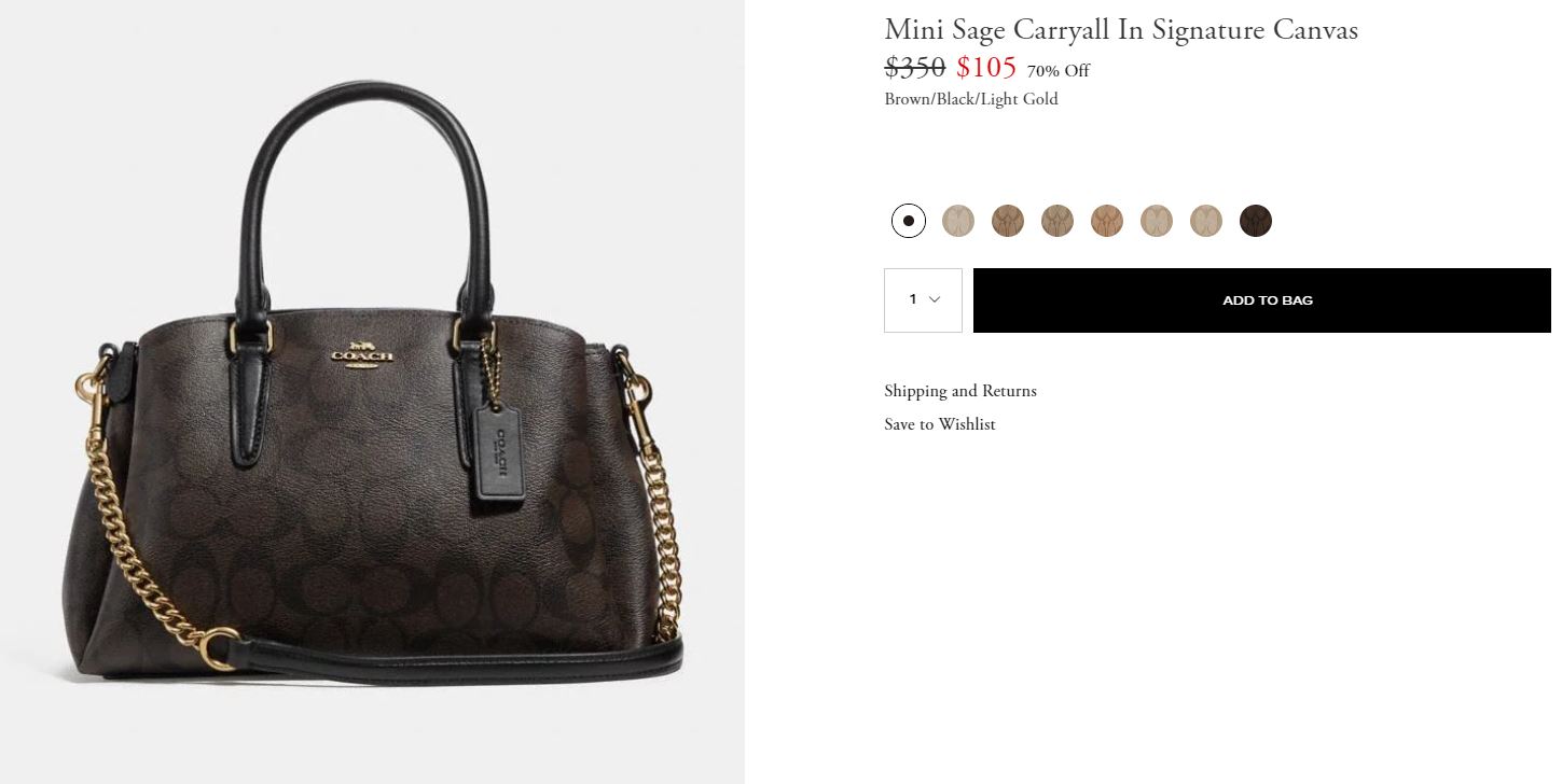 Mini Sage Carryall In Signature Canvas