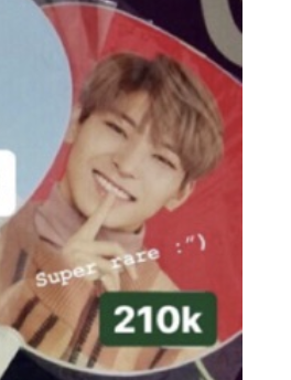 Wonwoo Japan Carat Camp Uchiwa