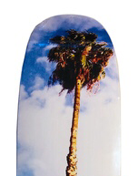 Blue Haven Pools Homage Deck skateboard