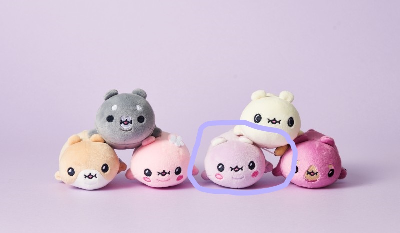 Hyungwon/Zizigom Stress Ball