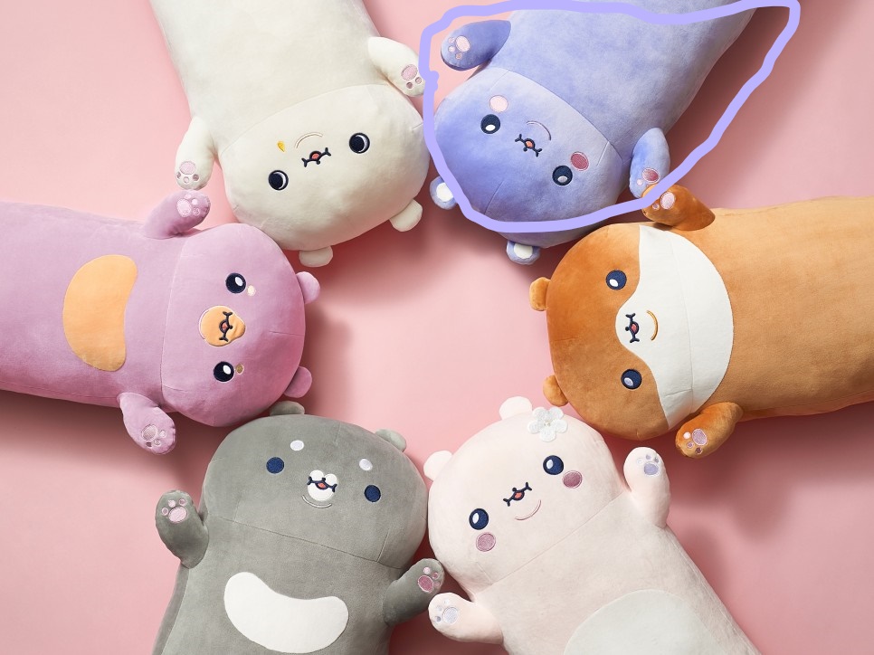 Zizigom Hyungwon big plush