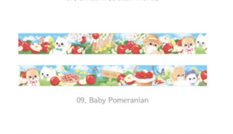 Baby pomeranian tape
