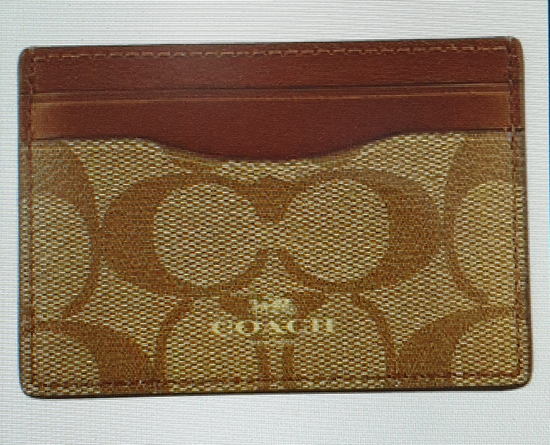 Card Case In Signature Canvas F63279 IME74