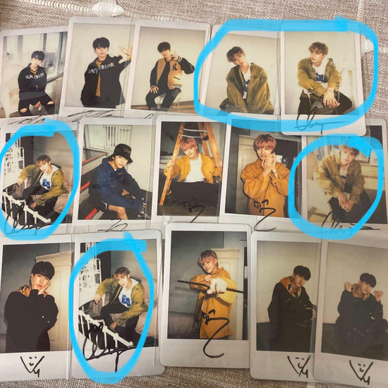 5 polaroids