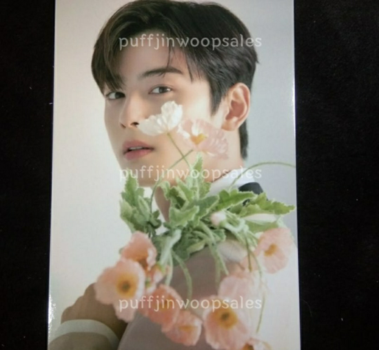 Astro Cha Eunwoo Japan Post Car