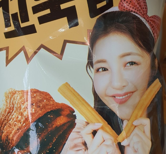 Choco Turtle Chips 1 Box(12pcs)