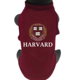 Harvard Dog Shirt